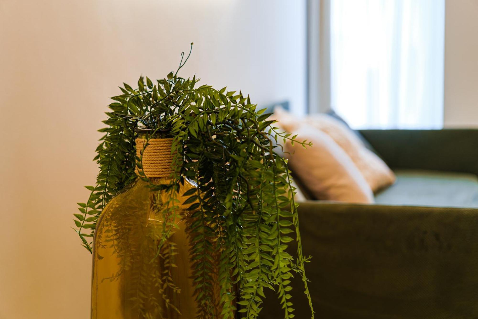 Helloapulia Charming Palazzo Clemente - Self-Catering Suites With Aircondition 莫诺波利 外观 照片
